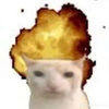 lailamorgan11